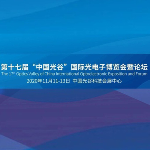 Tumtec participation in 2020 “ The Wuhan OVC Expo“