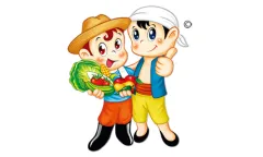 cocoly fertilizer