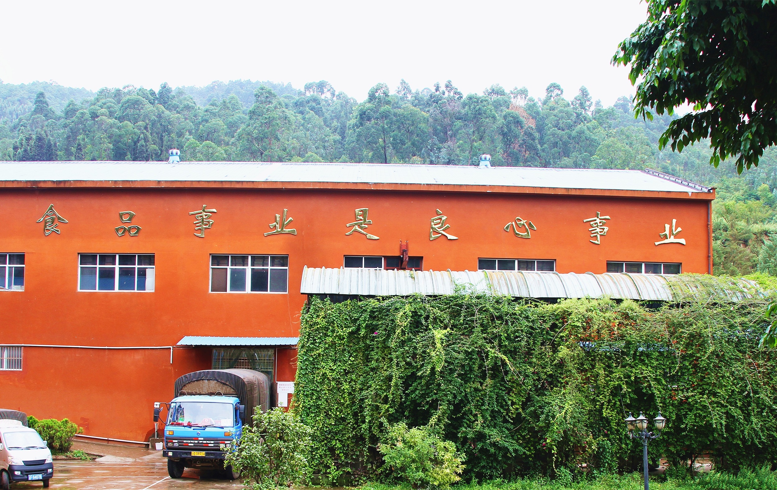 Yunnan Tianfang Food Co., Ltd