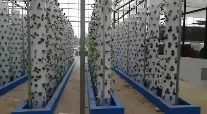 Hydroponics