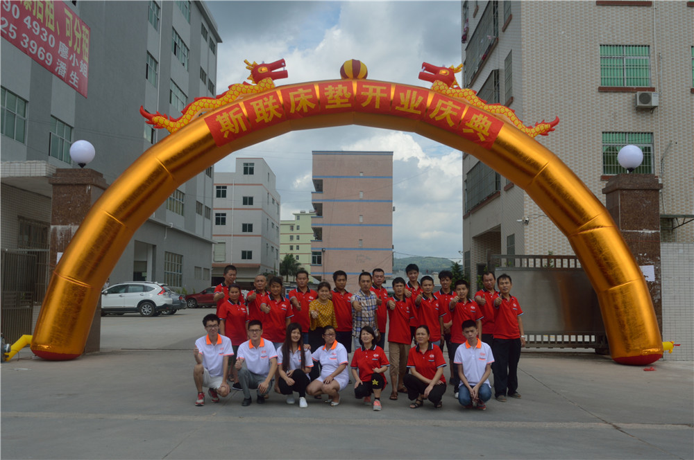 Huizhou Sialiy Intelligent Furniture Co.,LTD