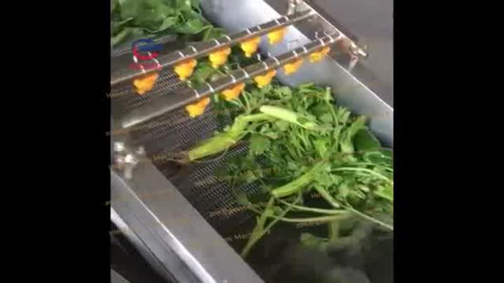 Máquina de lavar de frutas com lavagem vegetal