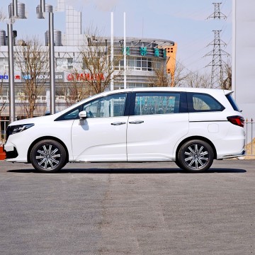 Top 10 Most Popular Chinese Electric MPV Car Brands