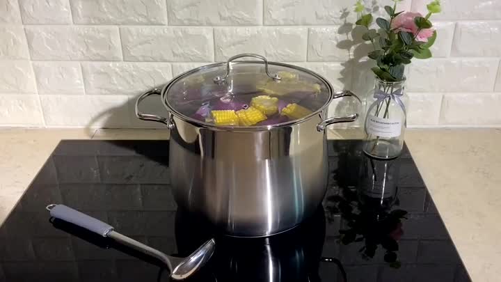 Stainless Steel Soup Stock Pot FH-SS212