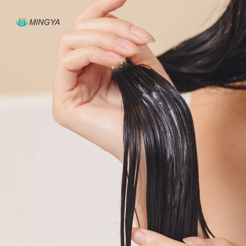 Cationic Conditioning Agents in Scalp-Hair Interface Systems