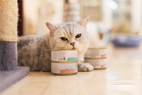 Linyi Chanbao International Trading Co., Ltd lança tudo - nova gama de produtos alimentares de estimação premium