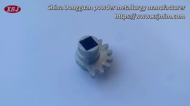 Stainless steel cylinder gear