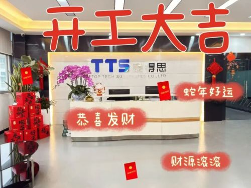 2025 Año de la Serpiente | TTS Tedros inicia la construcción con gran éxito