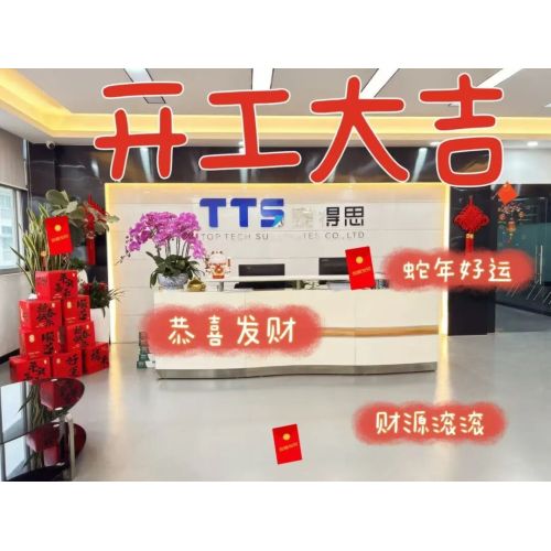 2025 Año de la Serpiente | TTS Tedros inicia la construcción con gran éxito