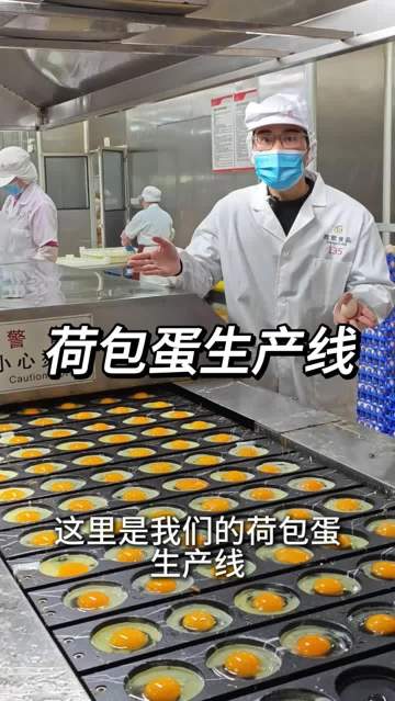 Fried poached eggs production line