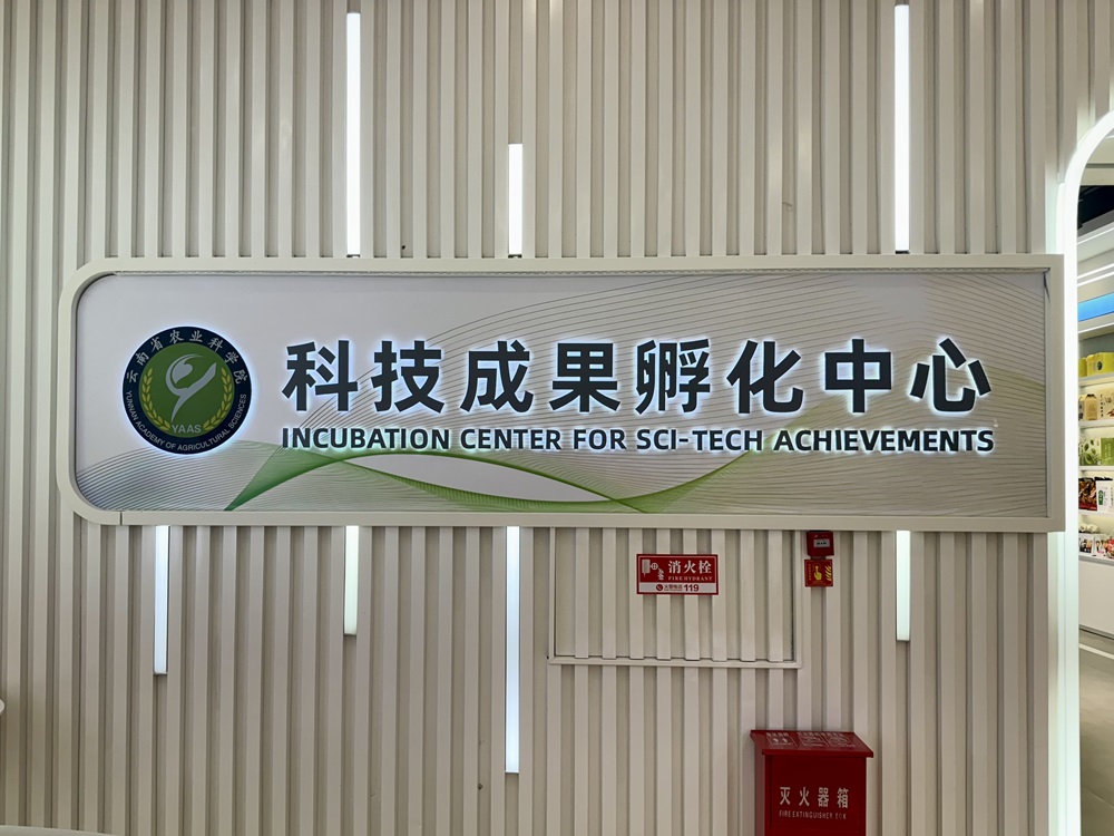 Yunnan Xunwu Trading Co., Ltd