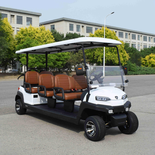 What should we pay attention to when choosing to buy an Golf Cart?