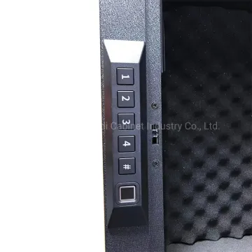 List of Top 10 Biometric Pistol Safe Brands Popular in European and American Countries