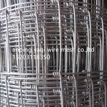 Top 10 Animal Wire Mesh Fence Manufacturers