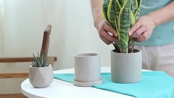 indoor flowerpot
