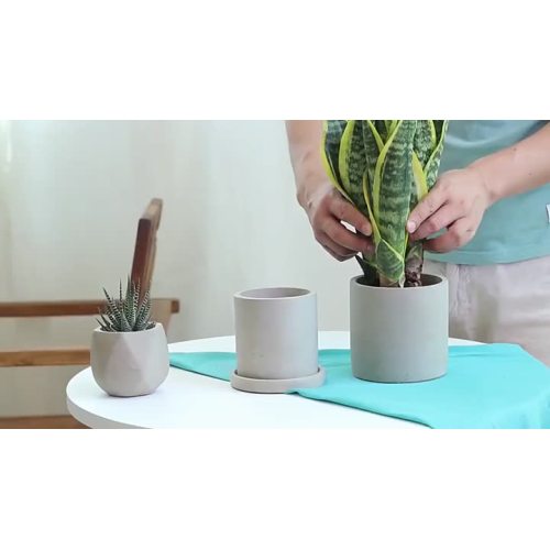 indoor flowerpot.mp4