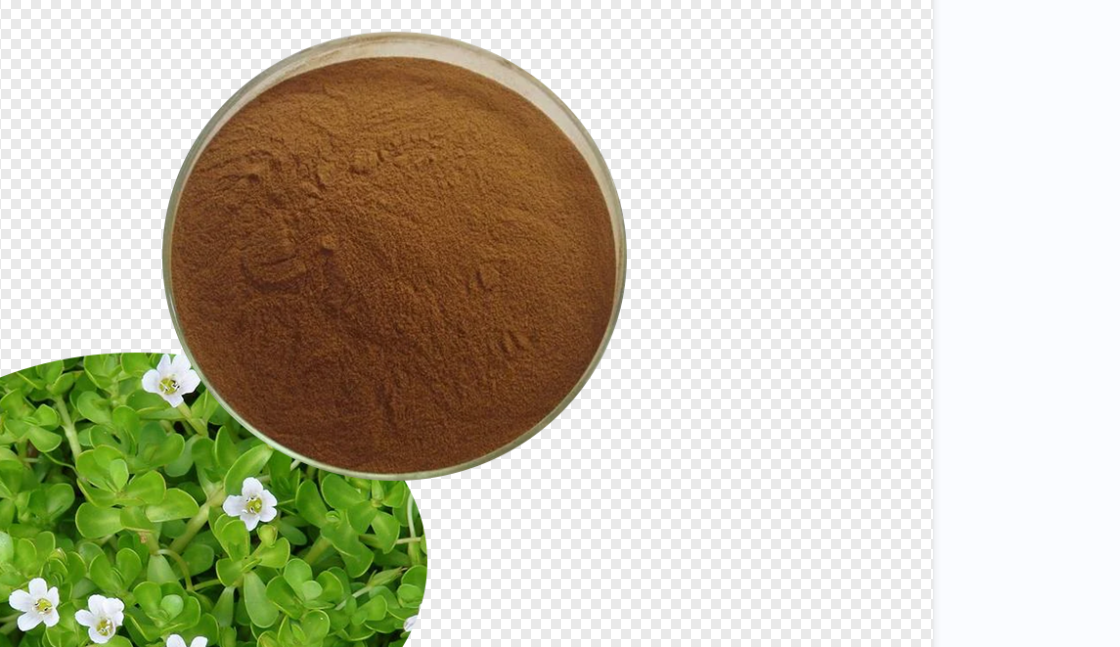 Bacopa Monnieri Extract2