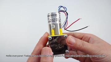 YW02 single head miniature diaphragm pump
