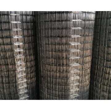 Ten Chinese Black Welded Wire Mesh Suppliers Popular in European and American Countries
