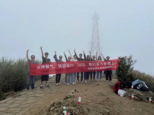 MLM Eyewear's Mountain Climbing Team Building