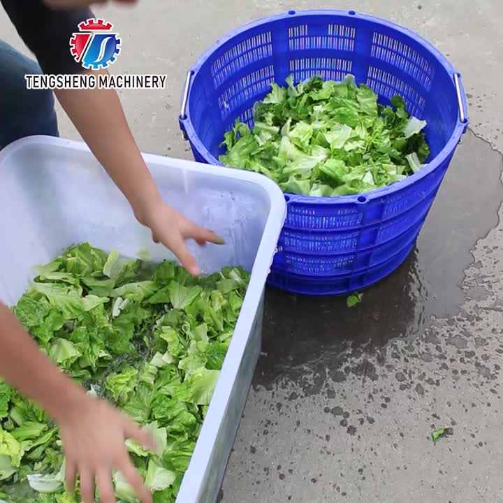 Desidratador centrífugo comercial de vegetais TS-T22 para processamento de alimentos