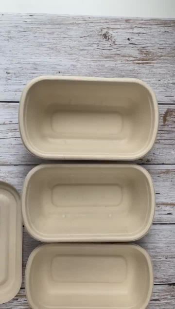 sugarcane bagasse container tray