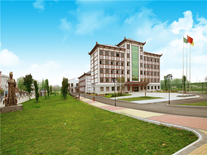 Hunan Junshan Yinzhen Tea Industry Co.,Ltd