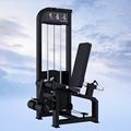 Commercial Home Gym Equipment: Seated Abdominal Back Extension Machine1