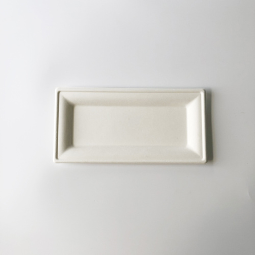 Factory direct sales bagasse rectangular serving tray