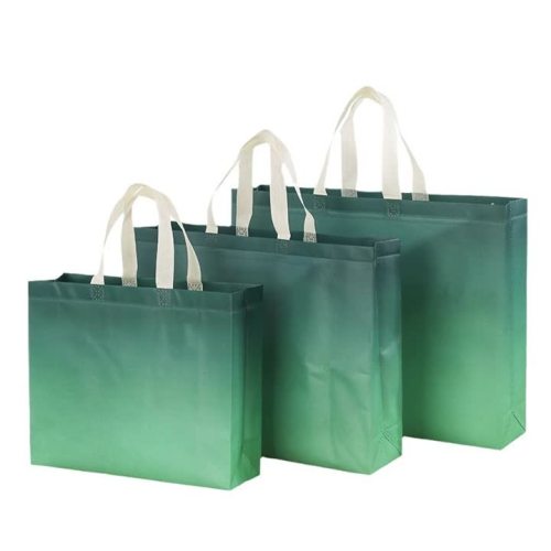 চার ধরনের নন-ওভেন ফ্যাব্রিক 3D ব্যাগ | কাস্টম স্তরিত এবং বেয়ার ফ্যাব্রিক ব্যাগ সমাধান