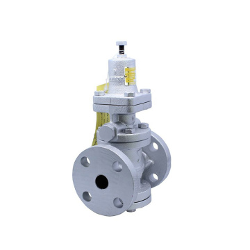 List of Top 10 Pressure Reducing Valve Brands Popular in European and American Countries