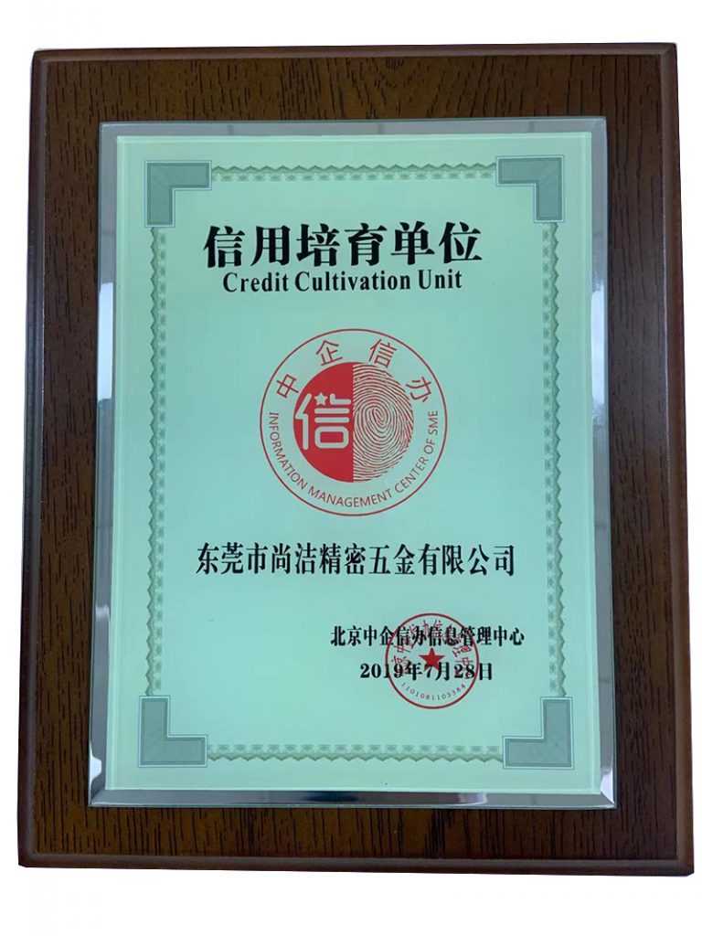 Company Certificate