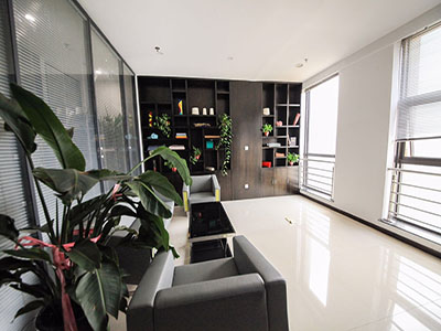 SHANDONG XINGTENG INTERNATIONAL TRADE CO., LTD.