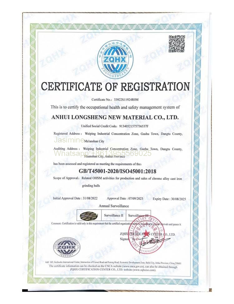 Occupational Health and Safety Management ISO45001