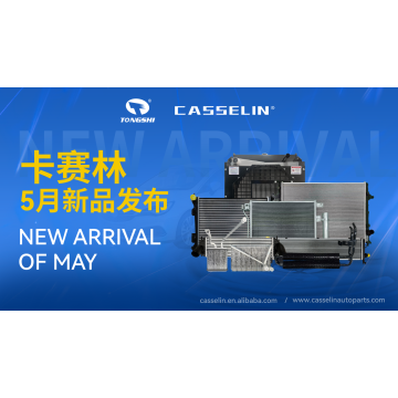 CASSELIN NEW ARRIVAL IN MAY
