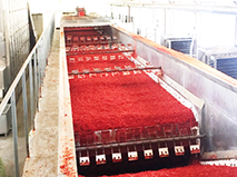 Ningxia Lihe Food Co., Ltd.