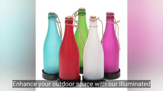 Encantadoras luces de hadas LED con alimentación solar en botellas de vino1