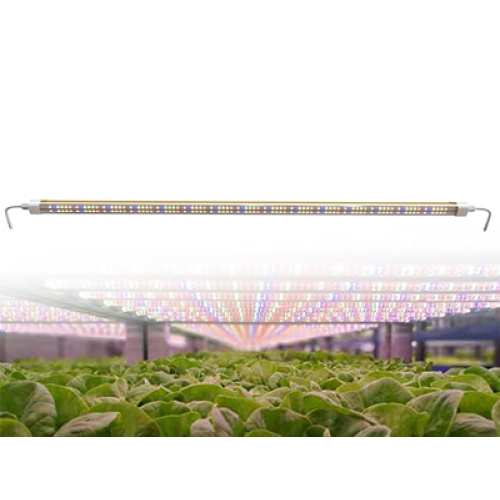 In what environments can LED grow lights be used?