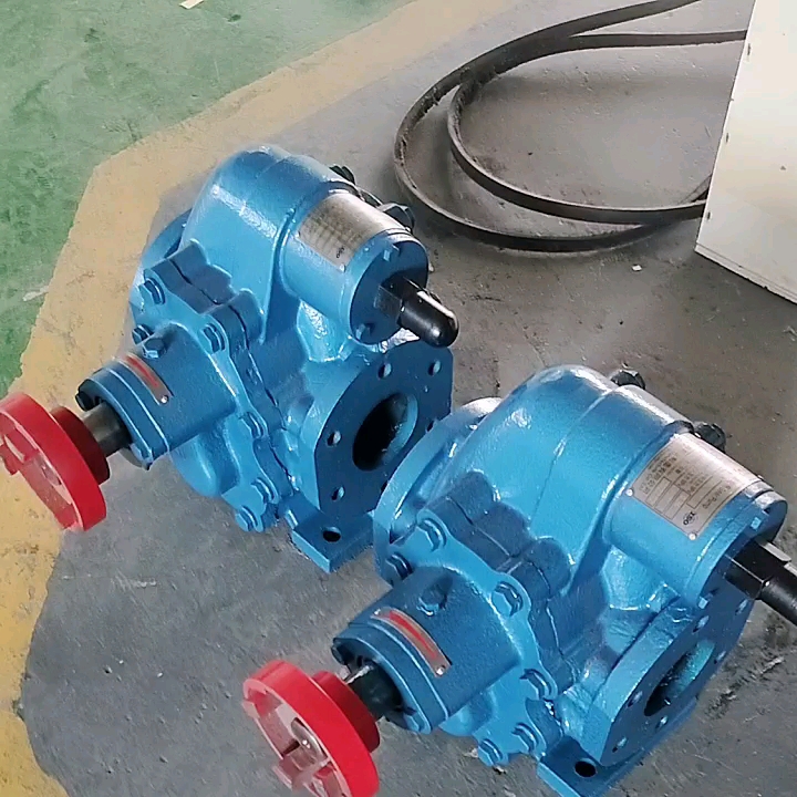 Indonesia hydraulic gear pump   Electric gear pump  oil pump1