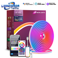 RGBIC WiFi Neon Rope Light - DIY App-Controlled Light Bar for Music Sync and TV Backlight1