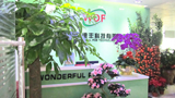 ShenZhen Wonderful Technology Co., Ltd