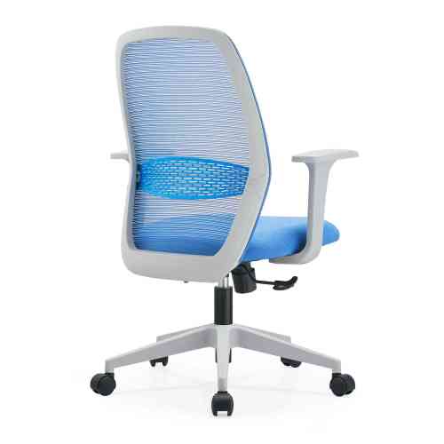 clideo_editor_c9782f50196843589540d23596e7771e