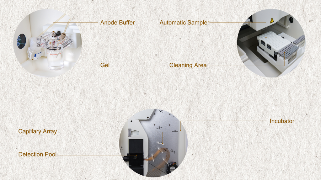 Molecular Biolab Equipment