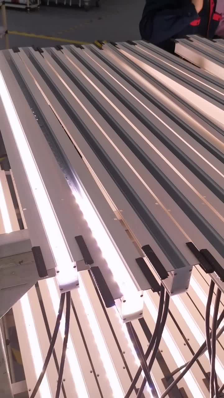 Linear Light-1.mp4