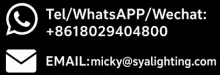 SHENGYA  LIGHTING  TECHNOLOGY  CO., LTD.