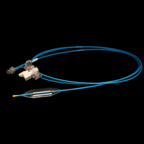 Wireguided Balloon Dilatation Catheter