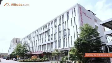 Zhuoyuexin Automotive Electronics