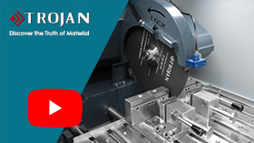 Beta 300 Automatic Cutter