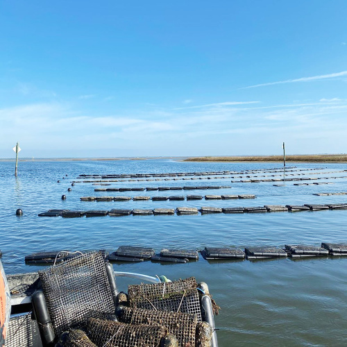 HDPE オイスター メッシュ バッグ、密封された HDPE メッシュ バッグ、カキ養殖水産養殖卸売