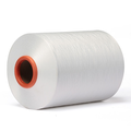 Special Functional Nylon Hot Melt Thread for Elastic Labels1